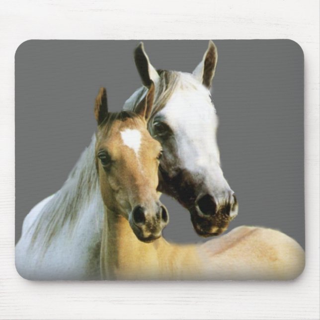 Amigos Mousepad do cavalo (Frente)
