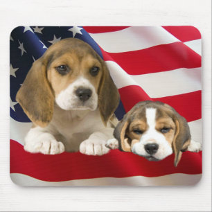 Amigos Mousepad do lebreiro