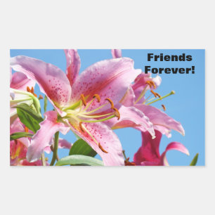 Amigos para Sempre! adesivos Flores de Lírio Rosa