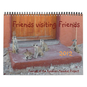 Amigos que visitam amigos - calendário 2012