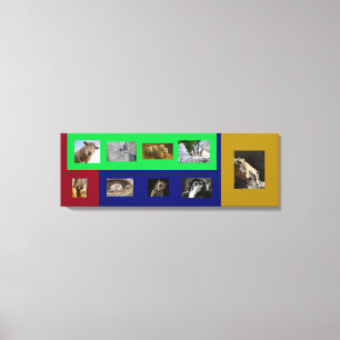 Amimais Engraçados em Canvas Esticada Colorida