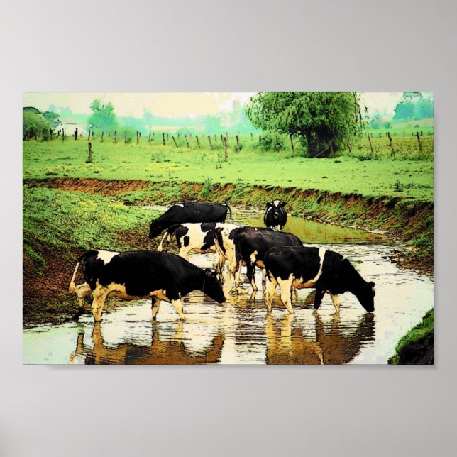 Amish Cows Poster (Frente)