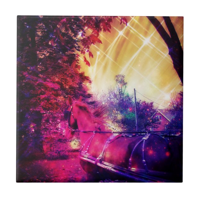 Amish Horse and Buggy, Edição Espacial (Frente)