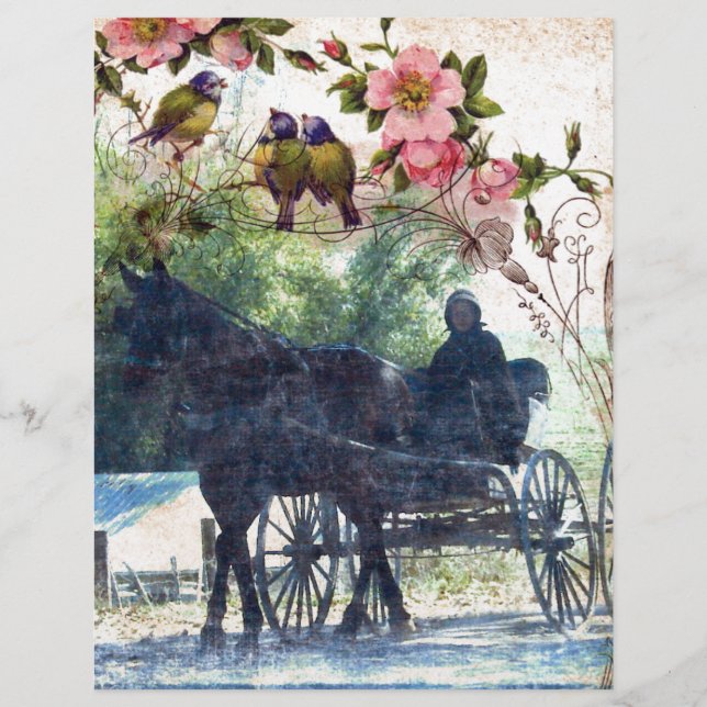 Amish Horse e Buggy Birdie Textura (Frente)