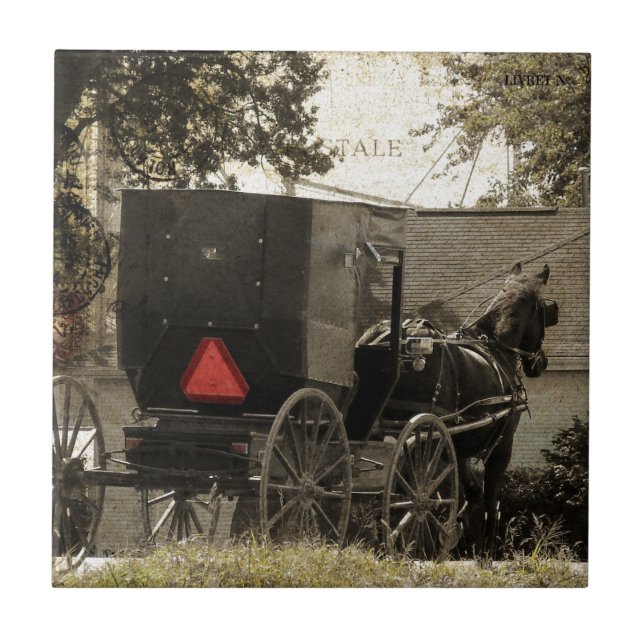Amish Horse e Buggy Sepia Postcard Arte Digital (Frente)