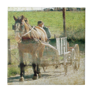 Amish Horse e Carrinho