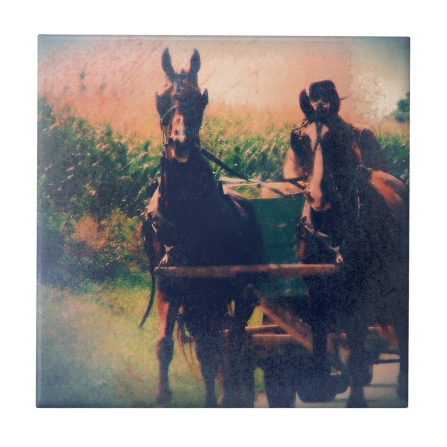 Amish Horse Team (Frente)
