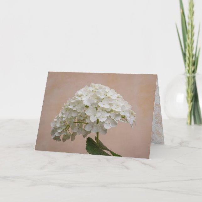 Amizade florescente - Philippians Cartão de Nota 1 (Frente)