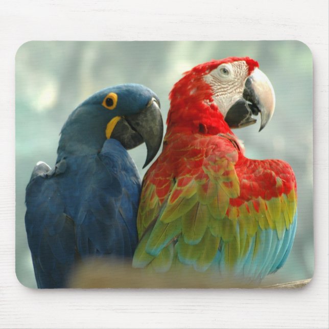 Amizade Mousepad (Frente)