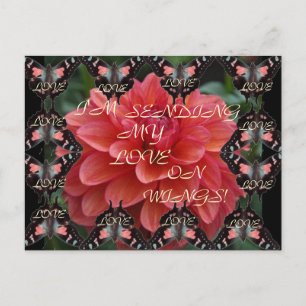 AMO AS ASAS! Cartão Postal