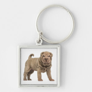 Amo o chaveiro de cachorro Shar Pei chinês