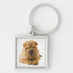 Amo o chaveiro de cachorro Shar Pei chinês