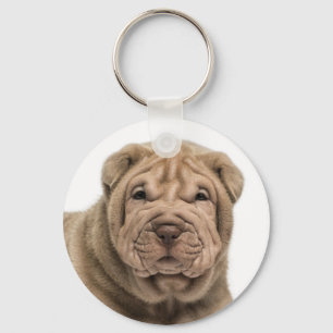 Amo o chaveiro de cachorro Shar Pei chinês