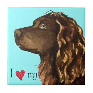 Amo o meu Boykin Spaniel