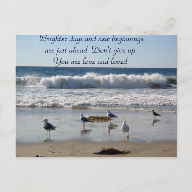 Amo-te— Cartão postal (Frente)