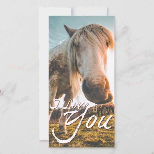 Amo-te com o Cavalo (Frente)