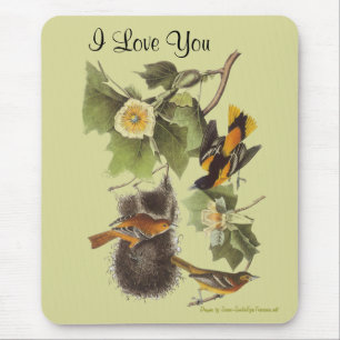 Amo-Te Pássaros Audubon Personalizados Do Mousepad