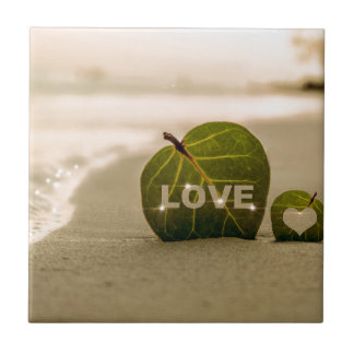 Amor Amar Costa