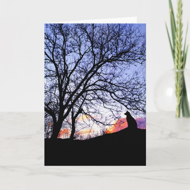 "Amor ao Sol" Perda de Cartão de condolências de C (Frente)