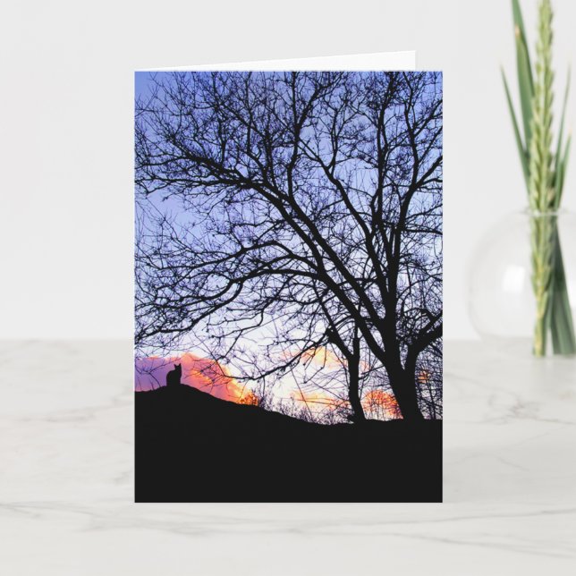 "Amor ao Sol" Perda de um Cartão de condolências d (Frente)