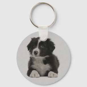 Amor Border Collie Cachorro Azul Porta-Chaves