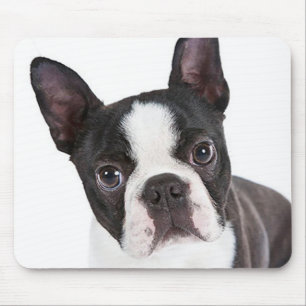 Amor Boston Terrier Puppy Dog Computer Mousepad