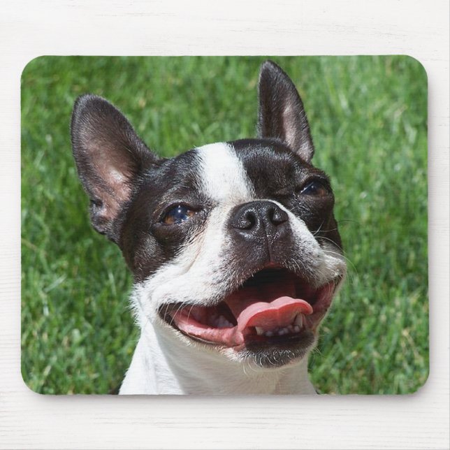 Amor Boston Terrier Puppy Dog Computer Mousepad (Frente)