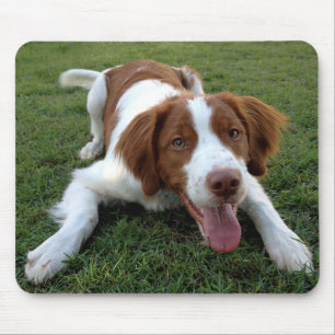 Amor Brittany Spaniel Puppy Dog Mousepad
