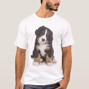 Amor Camiseta Cachorro da Montanha Bernese