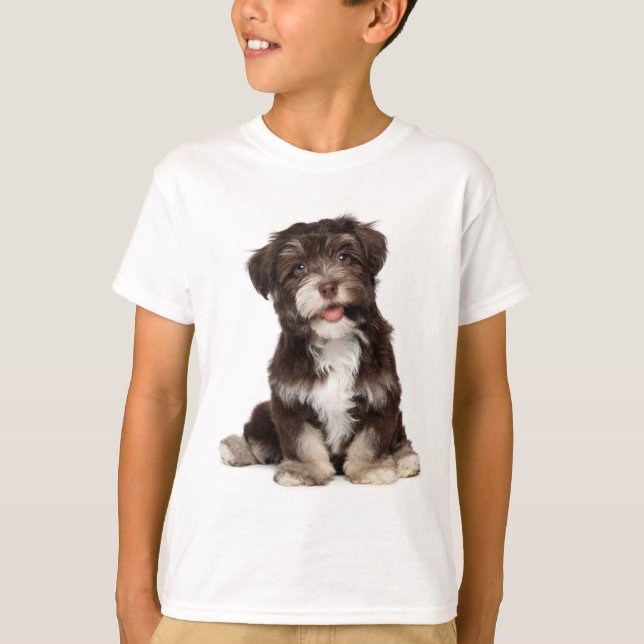 Amor Camiseta De Cachorro Havanês (Frente)