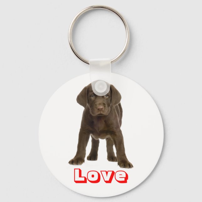 Amor Chocolate Labrador Retriever Puppy Chaveiro (Frente)
