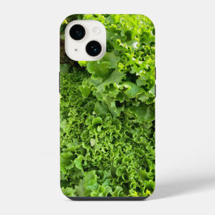 Amor com Alface Verde
