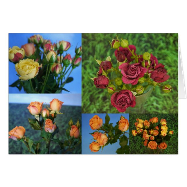 Amor com Cartão Diário (Frente Horizontal)