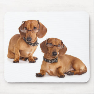 Amor Dachshund Puppy Dog Mousepad