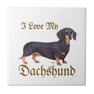 Amor de Dachshund
