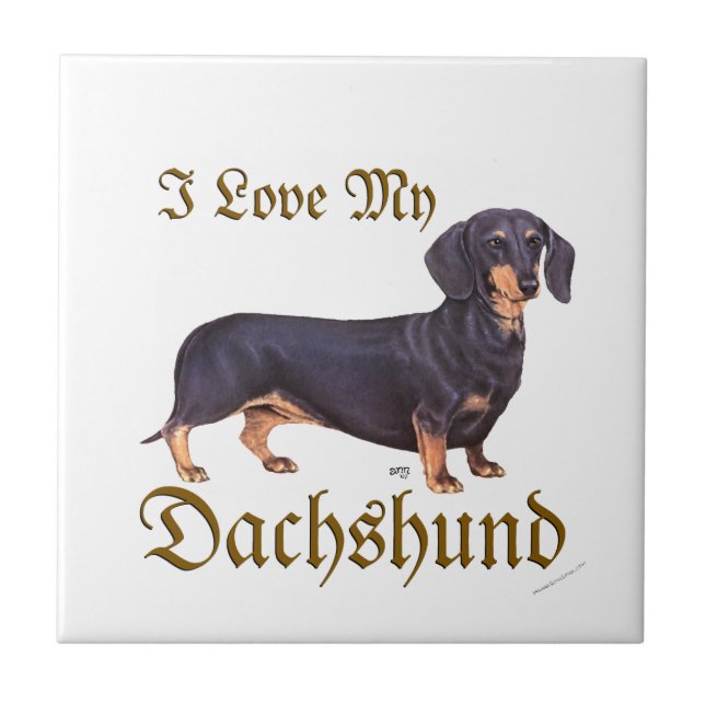 Amor de Dachshund (Frente)