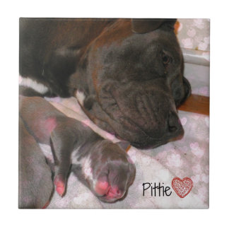 Amor de Pittie