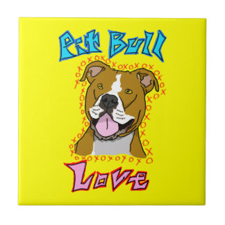 Amor do pitbull