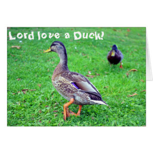 Amor do senhor um pato! Cartão