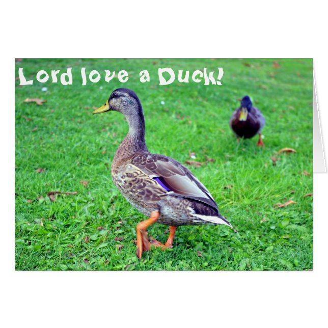 Amor do senhor um pato! Cartão (Frente Horizontal)