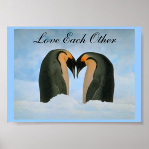 Amor dos pinguins poster