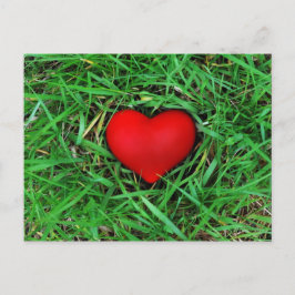 Amor ecológico - Cartão postal