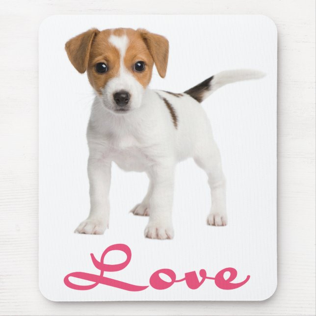 Amor Jack Russell Terrier Puppy Dog Mousepad (Frente)