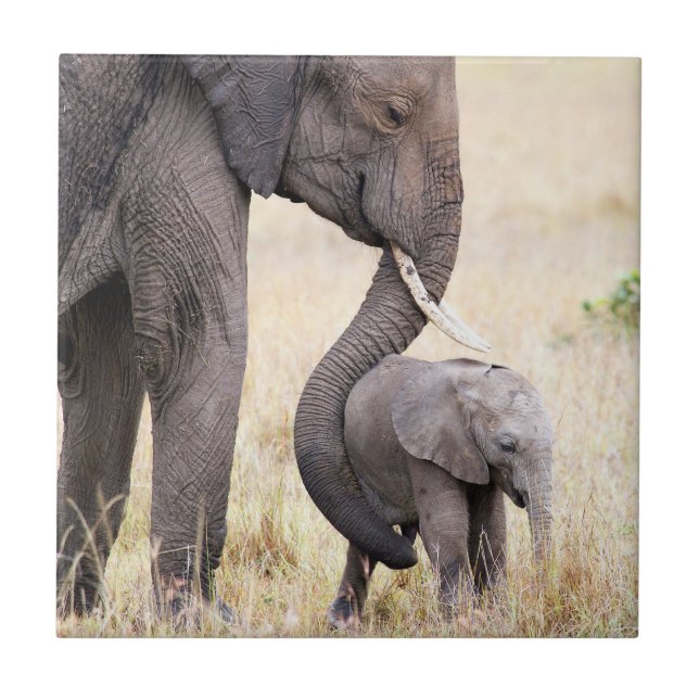 Amor maternal (Frente)