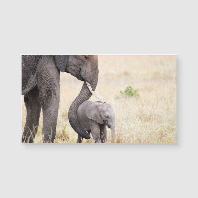 Amor maternal (Frente)