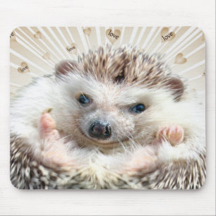 Amor Mousepad do ouriço