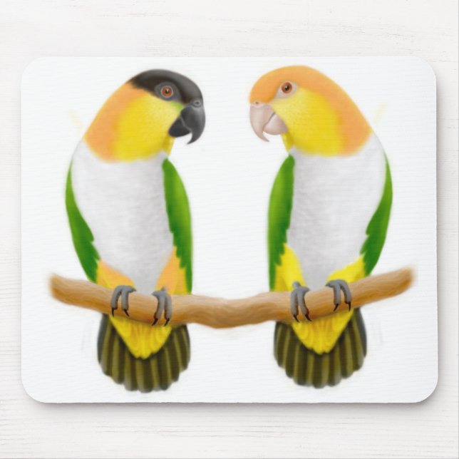 Amor Mousepad do papagaio do Caique (Frente)