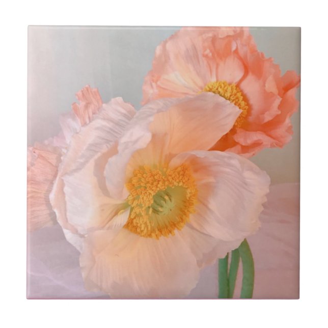 Amor Papoula (Frente)