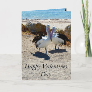 Amor Pelicano, Dia de os namorados, Cartão Saudáve