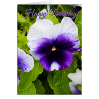 Amor-Perfeito Roxo e Branco, Cartão de Aniversário